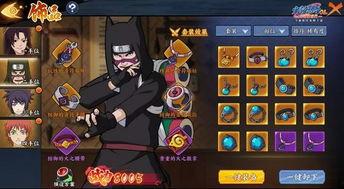 无忍者技能爆料大全最新,全新技能解析与实战攻略